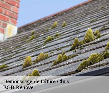 Demoussage de toiture cluis-36340 EGB Renove