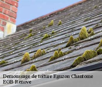 Demoussage de toiture eguzon-chantome-36270 EGB Renove