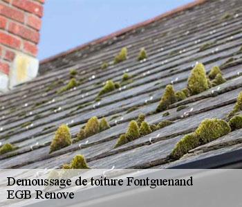 Demoussage de toiture  fontguenand-36600 EGB Renove