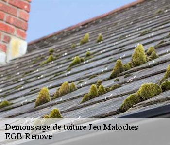 Demoussage de toiture  jeu-maloches-36240 EGB Renove