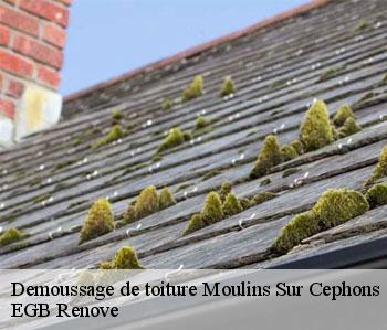 Demoussage de toiture  moulins-sur-cephons-36110 EGB Renove