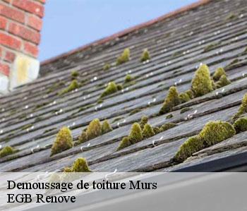 Demoussage de toiture murs-36700 EGB Renove