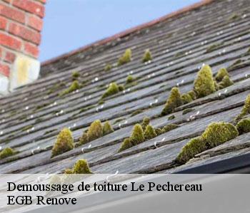 Demoussage de toiture le-pechereau-36200 EGB Renove