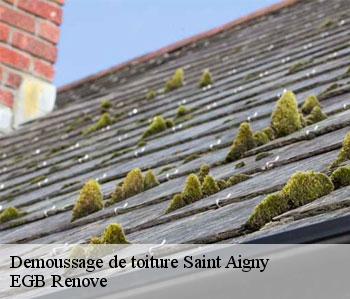 Demoussage de toiture  saint-aigny-36300 EGB Renove