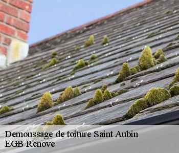 Demoussage de toiture  saint-aubin-36100 EGB Renove