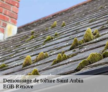 Demoussage de toiture saint-aubin-36100 EGB Renove
