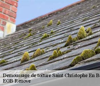 Demoussage de toiture  saint-christophe-en-bazelle-36210 EGB Renove