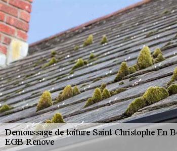 Demoussage de toiture saint-christophe-en-boucheri-36400 EGB Renove