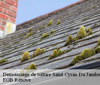 Demoussage de toiture  saint-cyran-du-jambot-36700 EGB Renove