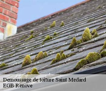 Demoussage de toiture  saint-medard-36700 EGB Renove