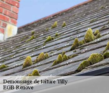 Demoussage de toiture tilly-36310 EGB Renove