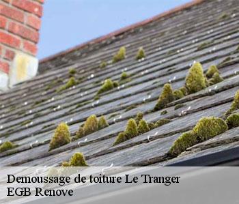 Demoussage de toiture le-tranger-36700 EGB Renove