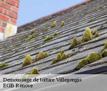 Demoussage de toiture villegongis-36110 EGB Renove