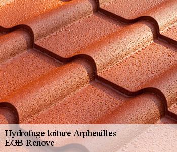 Hydrofuge toiture  arpheuilles-36700 EGB Renove