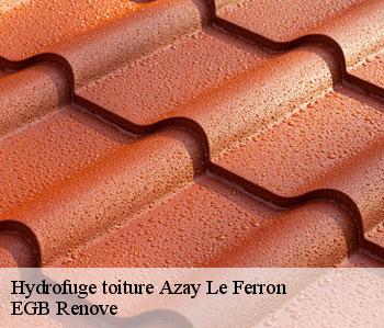 Hydrofuge toiture  azay-le-ferron-36290 EGB Renove
