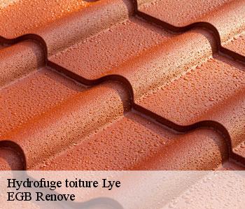 Hydrofuge toiture  lye-36600 EGB Renove
