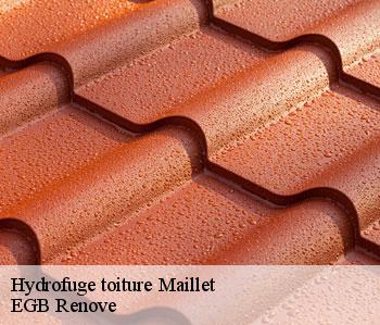 Hydrofuge toiture  maillet-36340 EGB Renove