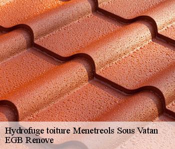 Hydrofuge toiture  menetreols-sous-vatan-36150 EGB Renove