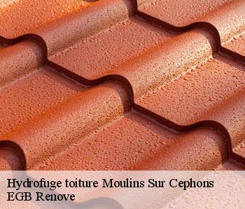 Hydrofuge toiture  moulins-sur-cephons-36110 EGB Renove