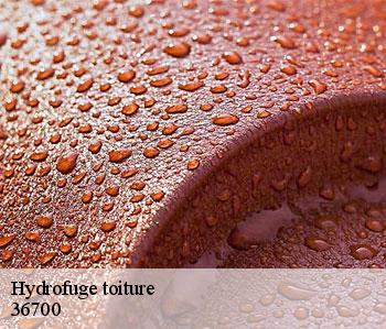 Hydrofuge toiture 36700