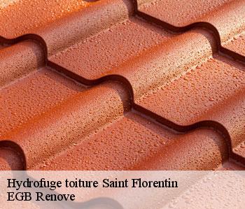 Hydrofuge toiture  saint-florentin-36150 EGB Renove