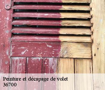 Peinture et décapage de volet 36700