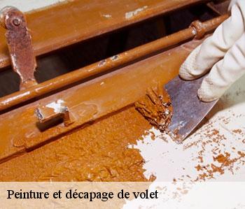 Peinture et décapage de volet