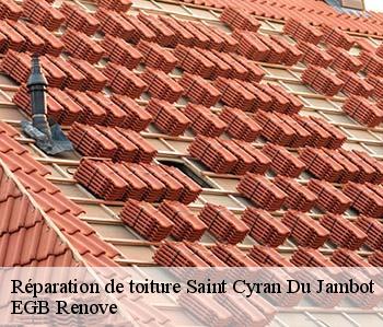 Réparation de toiture saint-cyran-du-jambot-36700 EGB Renove