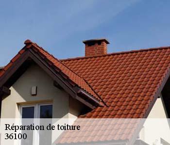 Réparation de toiture  36100