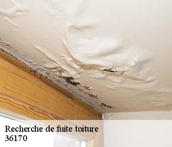 Recherche de fuite toiture  36170