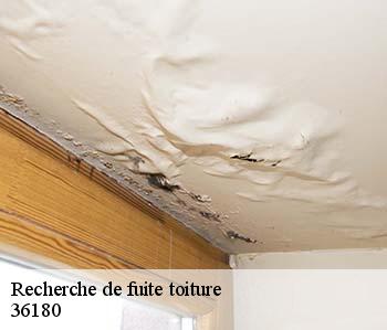 Recherche de fuite toiture  36180