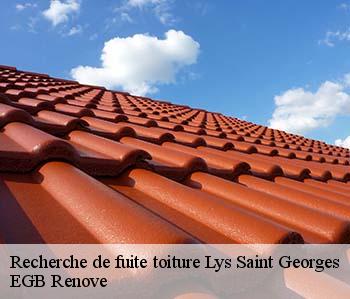 Recherche de fuite toiture  lys-saint-georges-36230 EGB Renove